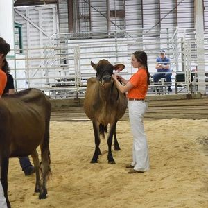 Meet your Posher, Allysen